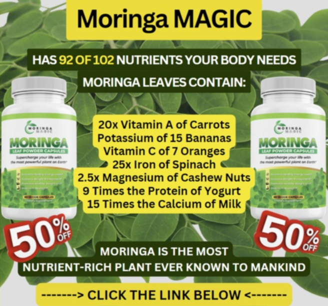 An enticing display of moringa bundles packaged beautifully, set against an earthy backdrop with hints of natural elements like leaves and stones. Soft, diffused lighting enhances the earthiness, giving a serene vibe. The arrangement should evoke a sense of scarcity and desire, presenting the offers in a photorealistic manner.